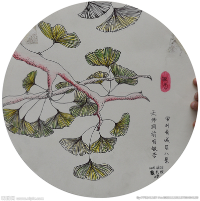 银杏摄影图 艺术与文化的自然交融