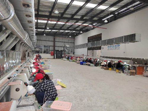 高县文江镇虹光角雕工艺品厂 在胜利村集体产业园开启文化艺术品新篇章